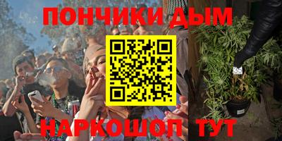 амф Дубна