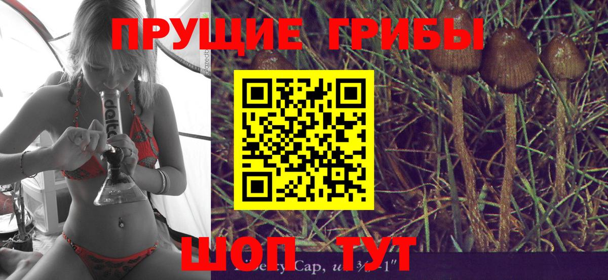 Электрогорск  Псилоцибиновые грибы MAGIC MUSHROOMS  Вход с VPN 